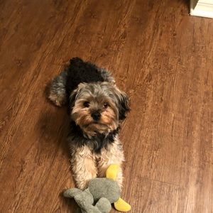 Meet your Posher, Kelly